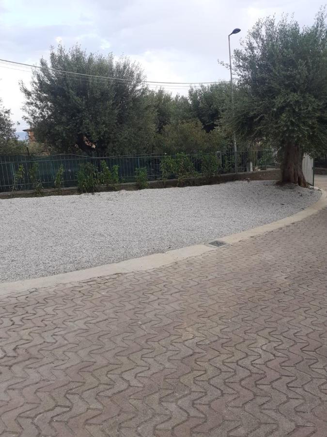 Case Vacanze Azzurra Marina di Camerota Extérieur photo